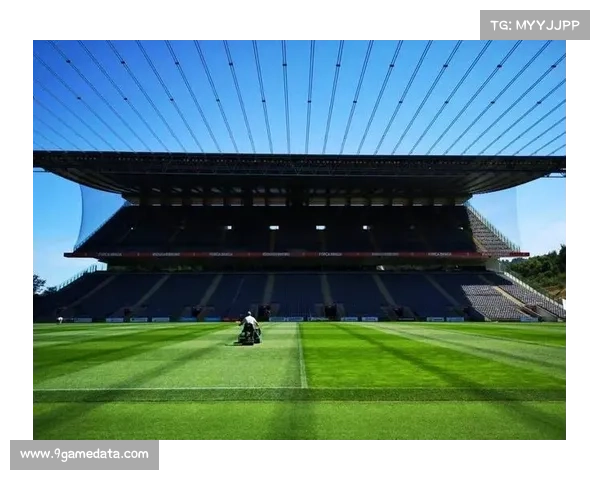 欧洲杯带动业余足球热潮，五人制球场预订量同比增三成